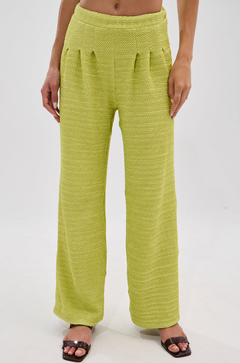 HOLLYWOOD SLINKY TEXTURED PALAZZO PANT IN GREEN