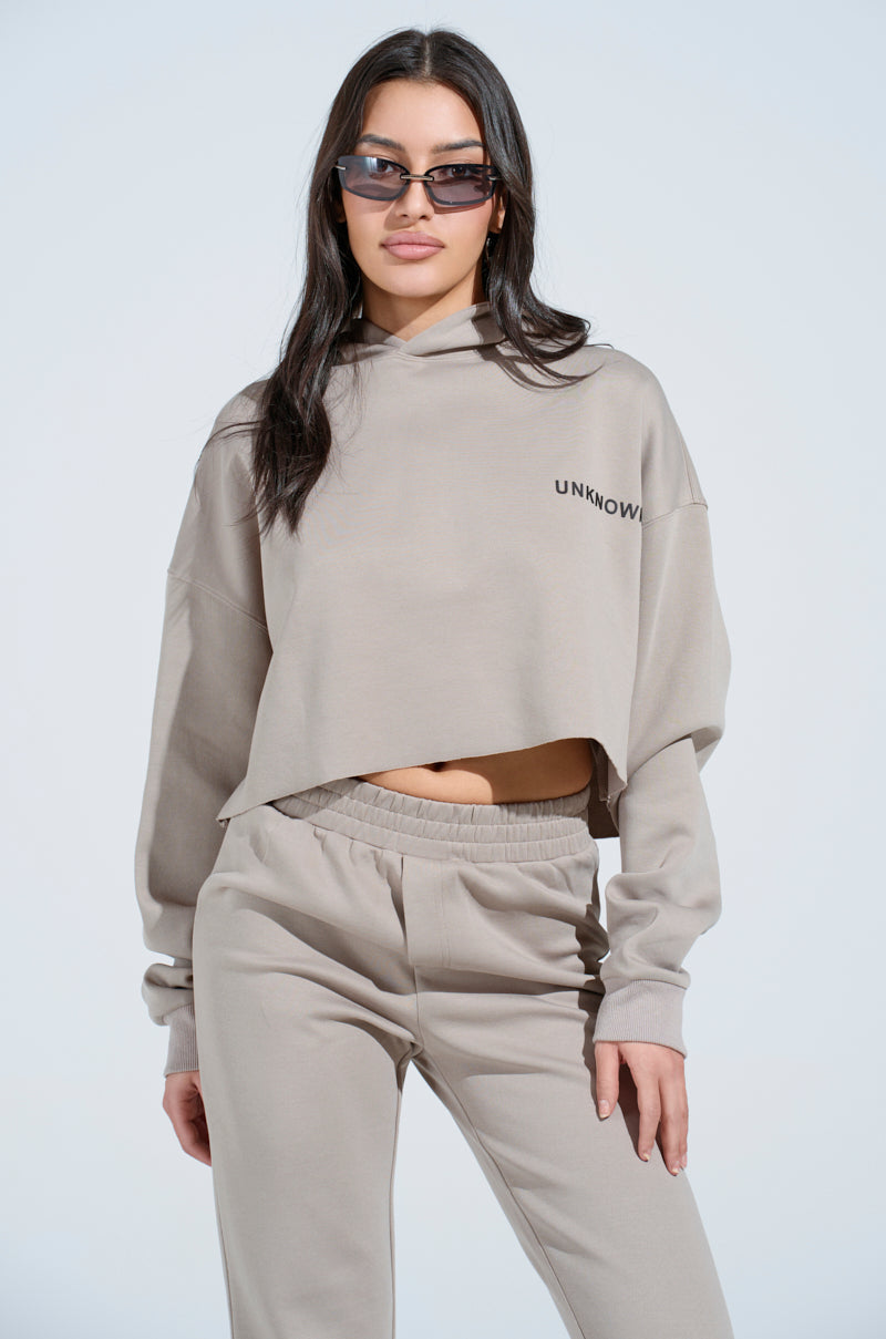 SOURCE UNKNOWN CROPPED SWEATSHIRT